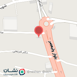 عکس فست فود،پیتزا پرواز