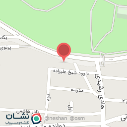 عکس لنت کوبی برادران