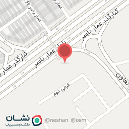 عکس پیتزا ساندویچ پاسارگاد