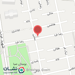 عکس پیتزا سالارخان