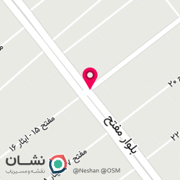 عکس کیف پاریس