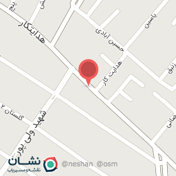 عکس کفش امیری