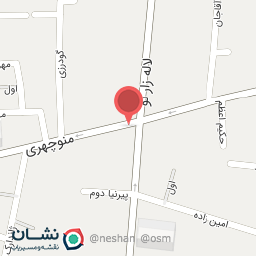 عکس دلسی شعبه فردوسی