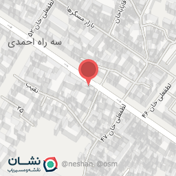 عکس هیات متوسلین به حضرت زینب کبری