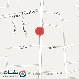 عکس پیتزا آرمان