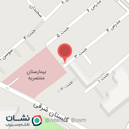 عکس چرم چیکا