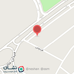 عکس فست فود نارنج