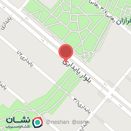 عکس فست فود رضا