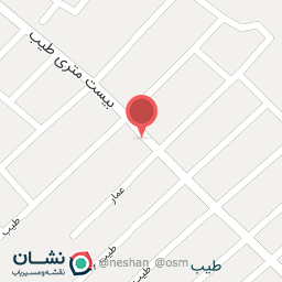 عکس اتو سرویس و تعویض روغنی نادر