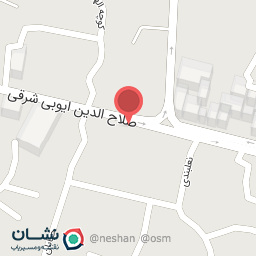 عکس گنجینه فرش پوریان