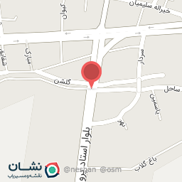 عکس پیتزا تک فود