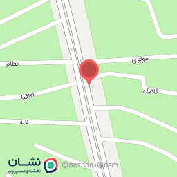 عکس مرغ سپیدپر