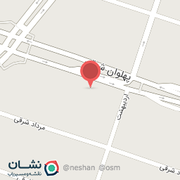 عکس دکتر عبدالامیر ستایش فر