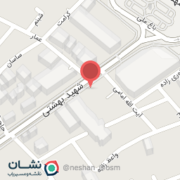 عکس پیتزا گیشا