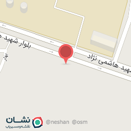 عکس رینگ و لاستیک حسینی 