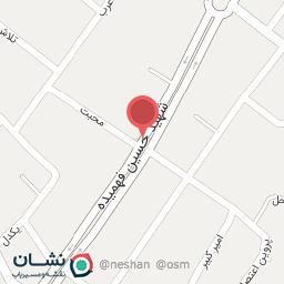 عکس مرغ و ماهی فروشی اقیانوس 