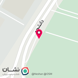 عکس فست فود