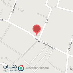 عکس آژانس هواپیمایی رهاسیر توس