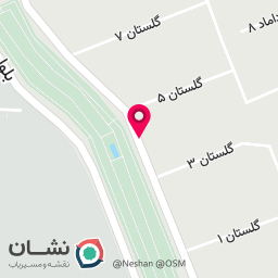 عکس فست فود دلیجه