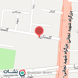 عکس فرش عالی نسب