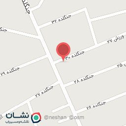 عکس کفش حاج مقداد