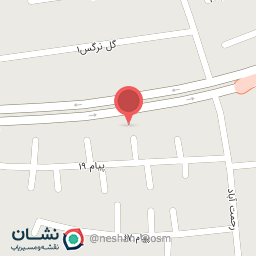 عکس سیم‌ پیچی زنده دل