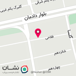 عکس دکتر شیوا علوی