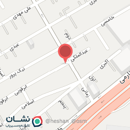 عکس غذای خانگی شاین