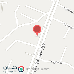 عکس مرغ وگوشت مجید