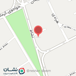 عکس سفیر صنعت تسلا تک