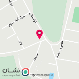 عکس اتو سرویس دوستان
