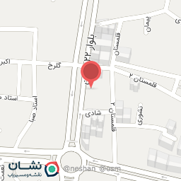 عکس فست فود گل رز