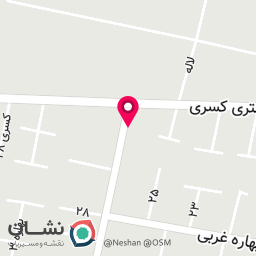 عکس کفش المپیاد