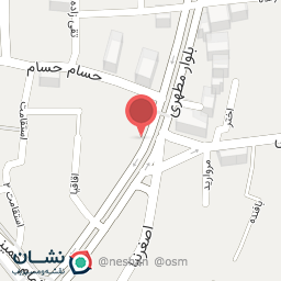 عکس اکسسوری سنجاقک 