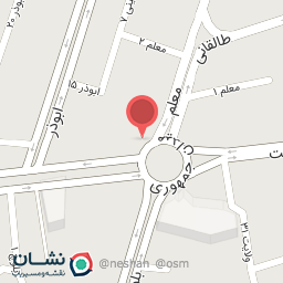 عکس پیتزا پالیزی