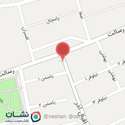 عکس چلوکبابی مرغوب