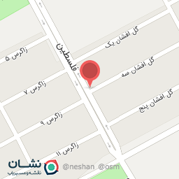 عکس پیرایش کاشف