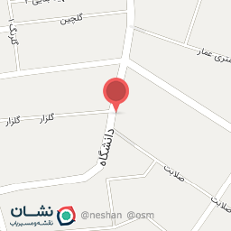 عکس پیتزا تک