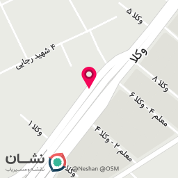 عکس دکتر نرگس علوی 
