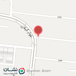 عکس میلادبرگر