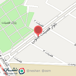 عکس فلافل فیدوس