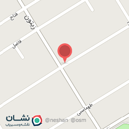 عکس مشاور املاک پورحسن