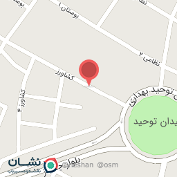 عکس ساندویچ علی بندری