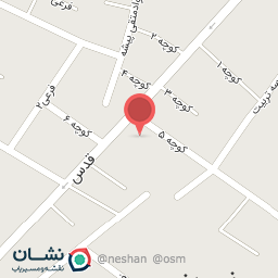 عکس کفش رضایی