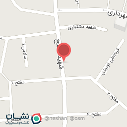 عکس الکتریکی پورعینی