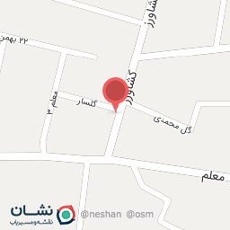 عکس اتو سرویس دولتی