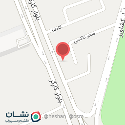 عکس سایپا یدک عزیزی