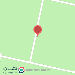 عکس پویان تفلون