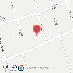 عکس قالیشویی ثامن