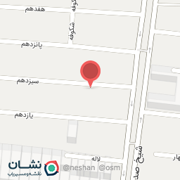 عکس دکتر صدرا انصاری پور